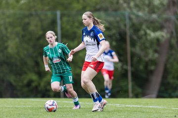 Bild 90 - wBJ Hamburger SV - SV Werder Bremen : Ergebnis: 2:2